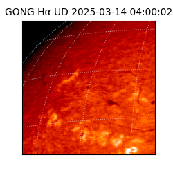 gong - 2025-03-14T04:00:02