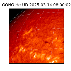 gong - 2025-03-14T08:00:02