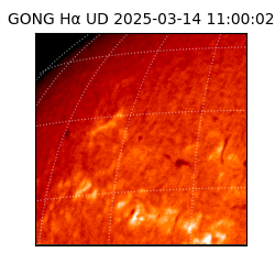 gong - 2025-03-14T11:00:02
