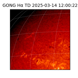 gong - 2025-03-14T12:00:22