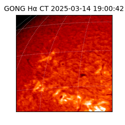 gong - 2025-03-14T19:00:42