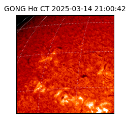 gong - 2025-03-14T21:00:42