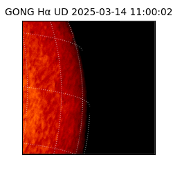 gong - 2025-03-14T11:00:02