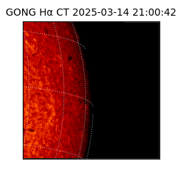 gong - 2025-03-14T21:00:42