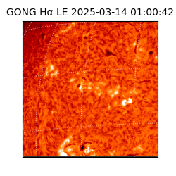 gong - 2025-03-14T01:00:42