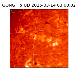 gong - 2025-03-14T03:00:02