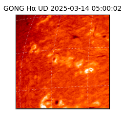 gong - 2025-03-14T05:00:02