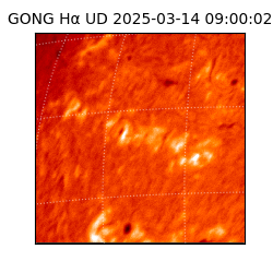 gong - 2025-03-14T09:00:02