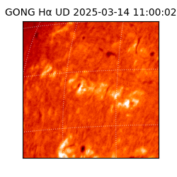 gong - 2025-03-14T11:00:02