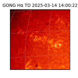 gong - 2025-03-14T14:00:22