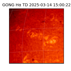 gong - 2025-03-14T15:00:22