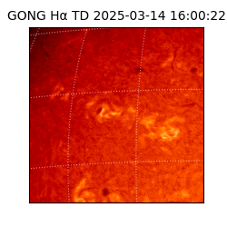 gong - 2025-03-14T16:00:22