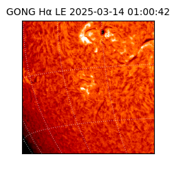 gong - 2025-03-14T01:00:42