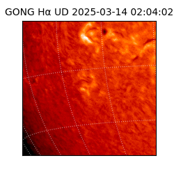 gong - 2025-03-14T02:04:02