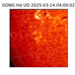 gong - 2025-03-14T04:00:02