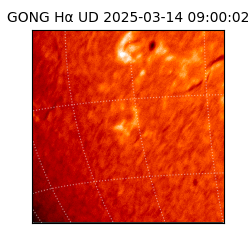 gong - 2025-03-14T09:00:02