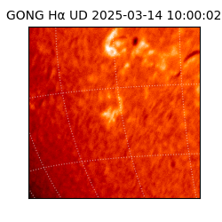 gong - 2025-03-14T10:00:02