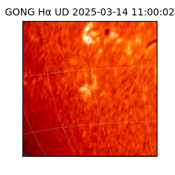 gong - 2025-03-14T11:00:02