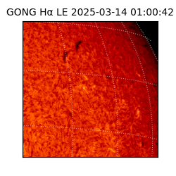 gong - 2025-03-14T01:00:42