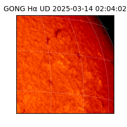gong - 2025-03-14T02:04:02