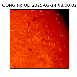 gong - 2025-03-14T03:00:02