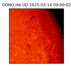 gong - 2025-03-14T09:00:02