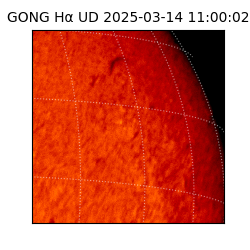 gong - 2025-03-14T11:00:02