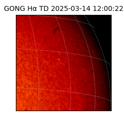 gong - 2025-03-14T12:00:22