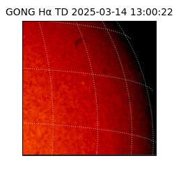 gong - 2025-03-14T13:00:22