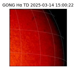 gong - 2025-03-14T15:00:22