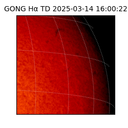 gong - 2025-03-14T16:00:22