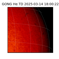 gong - 2025-03-14T18:00:22