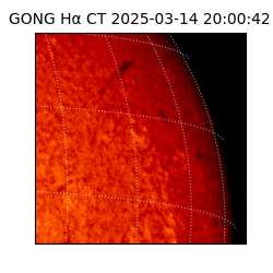 gong - 2025-03-14T20:00:42
