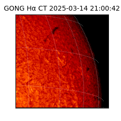 gong - 2025-03-14T21:00:42
