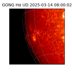 gong - 2025-03-14T08:00:02