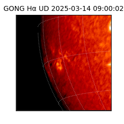 gong - 2025-03-14T09:00:02