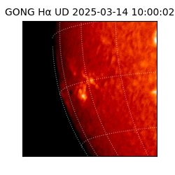 gong - 2025-03-14T10:00:02