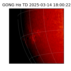 gong - 2025-03-14T18:00:22