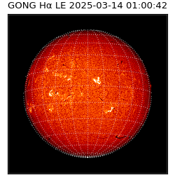 gong - 2025-03-14T01:00:42