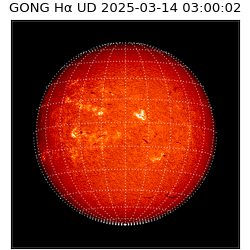 gong - 2025-03-14T03:00:02
