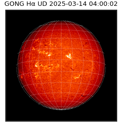 gong - 2025-03-14T04:00:02