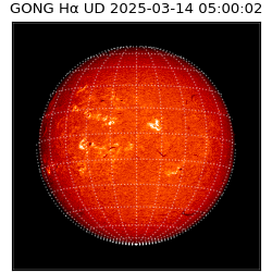 gong - 2025-03-14T05:00:02
