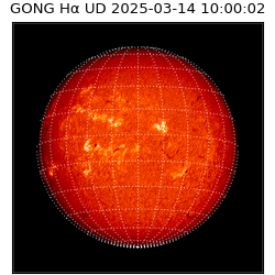 gong - 2025-03-14T10:00:02