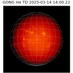 gong - 2025-03-14T14:00:22