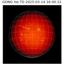 gong - 2025-03-14T16:00:22