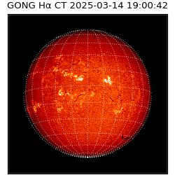 gong - 2025-03-14T19:00:42