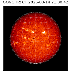 gong - 2025-03-14T21:00:42