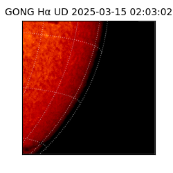 gong - 2025-03-15T02:03:02