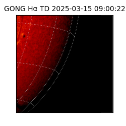 gong - 2025-03-15T09:00:22