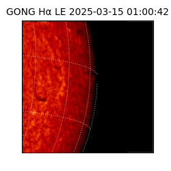 gong - 2025-03-15T01:00:42